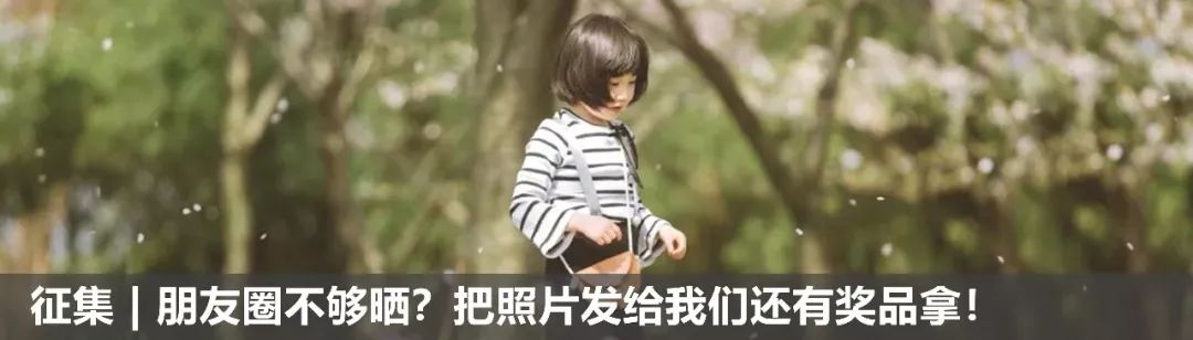 央视武汉樱花,央视新闻一起来看武汉樱花