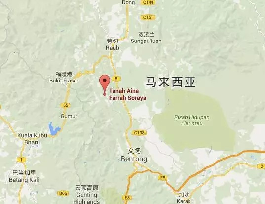 马来西亚猫山王详细攻略,尝一口香甜的马来西亚猫山王