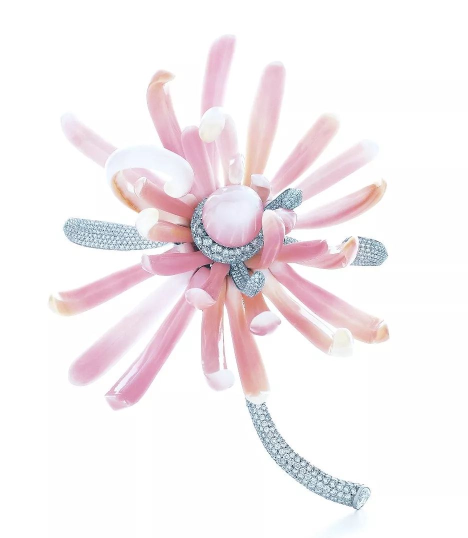 海螺珍珠饰品,海螺珠珠宝品牌