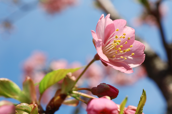 2022全画幅入门微单相机推荐,eosrp全幅相机