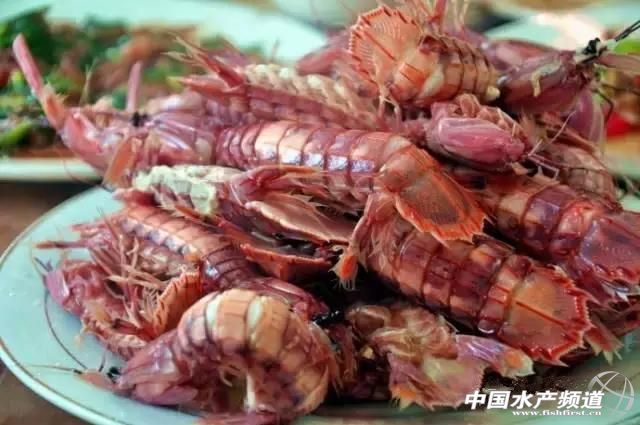 海鲜不可以吃的是哪些,海鲜禁忌你知道多少