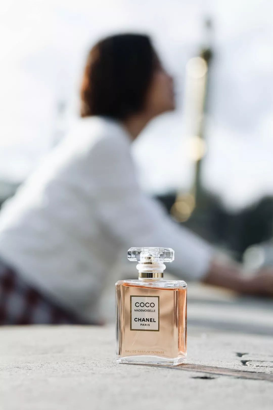 寻找香奈儿,用鼻子闻气味找对象