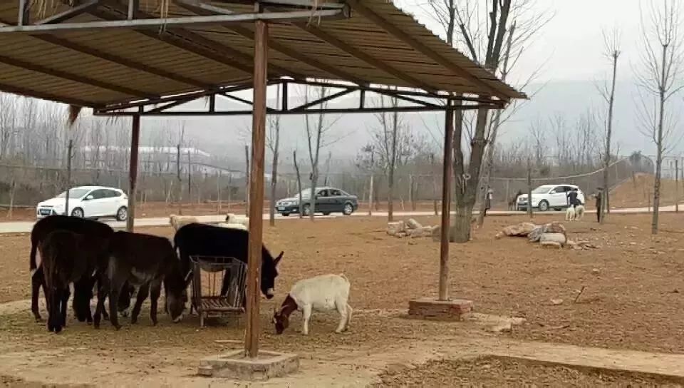 免票或半价！全国几百个景区集体降价，河南有这些…千万别错过！