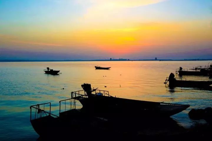 免票或半价！全国几百个景区集体降价，河南有这些…千万别错过！