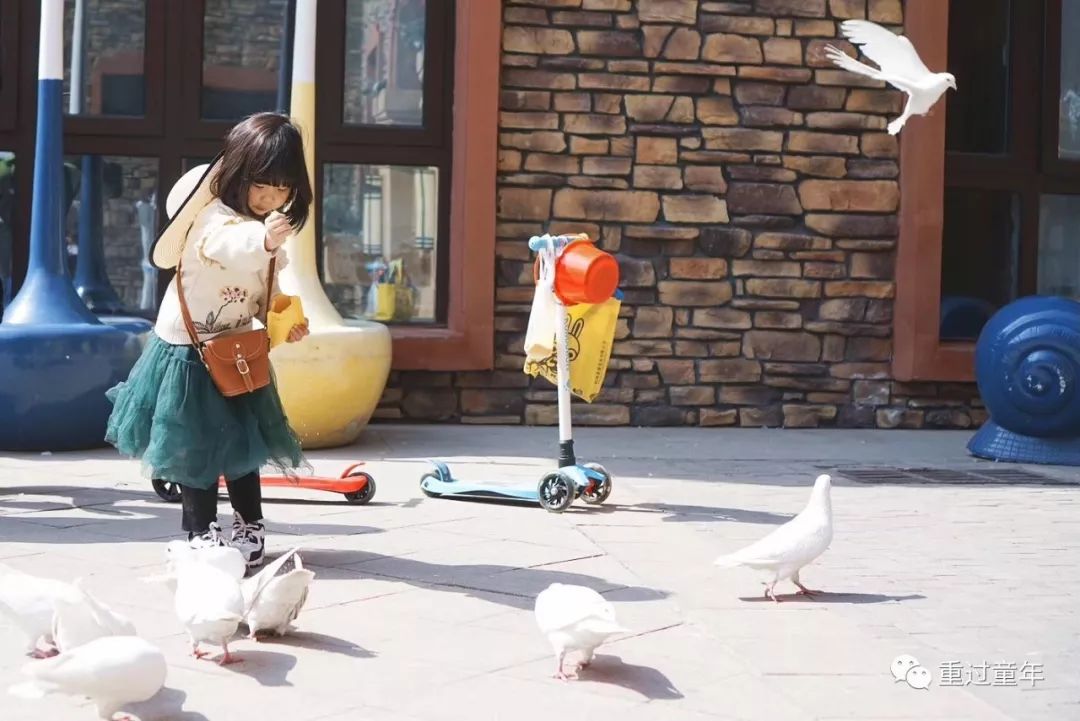 西安一个很有特色的公园,西安唯一要门票的公园