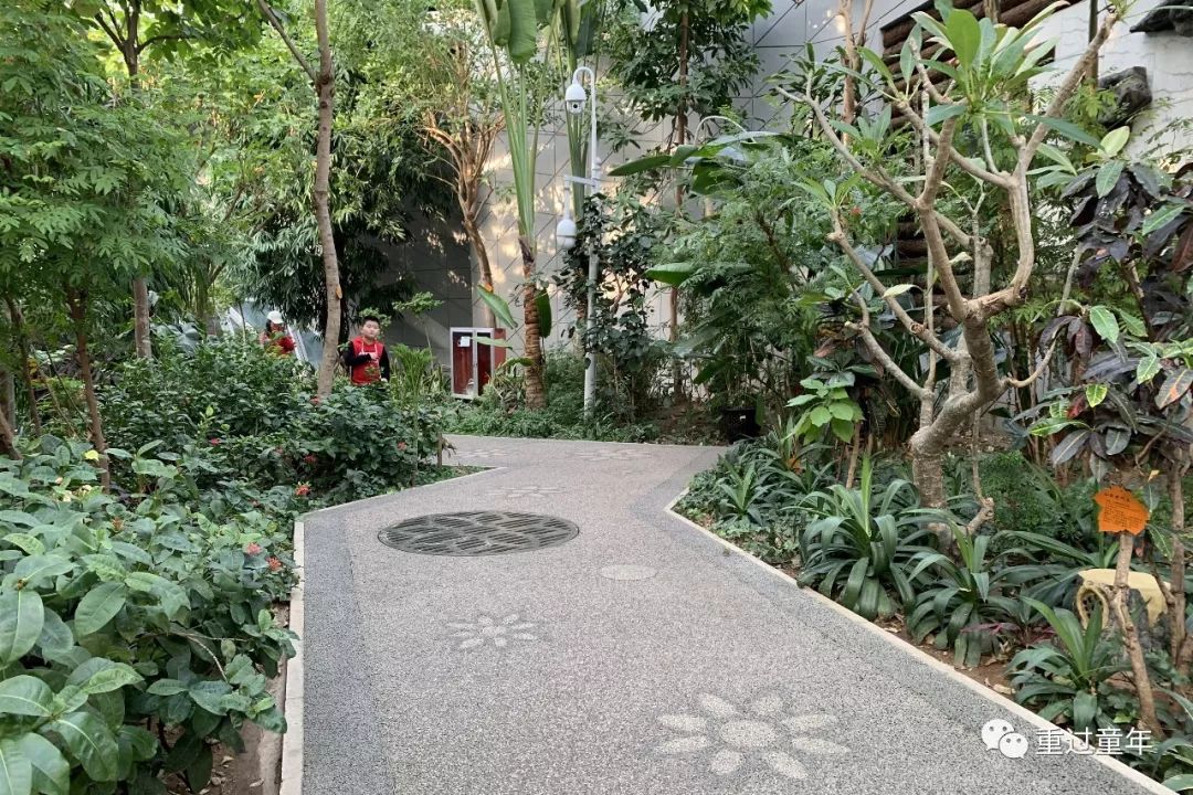 西安一个很有特色的公园,西安唯一要门票的公园