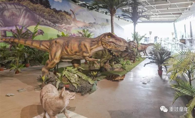 西安一个很有特色的公园,西安唯一要门票的公园