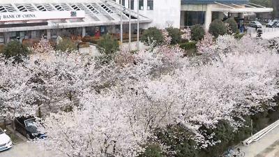 恐怖！穿双新鞋去踏青，几天后脚趾溃烂，差点要截肢！原因竟是...