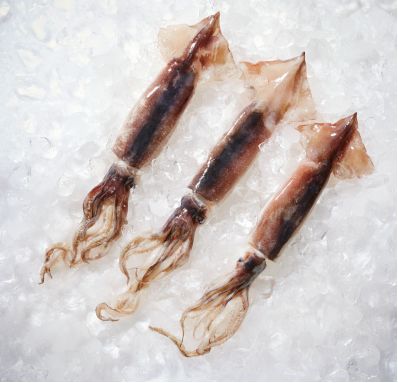 鱿鱼常识大全图解,鱿鱼捕捞科普