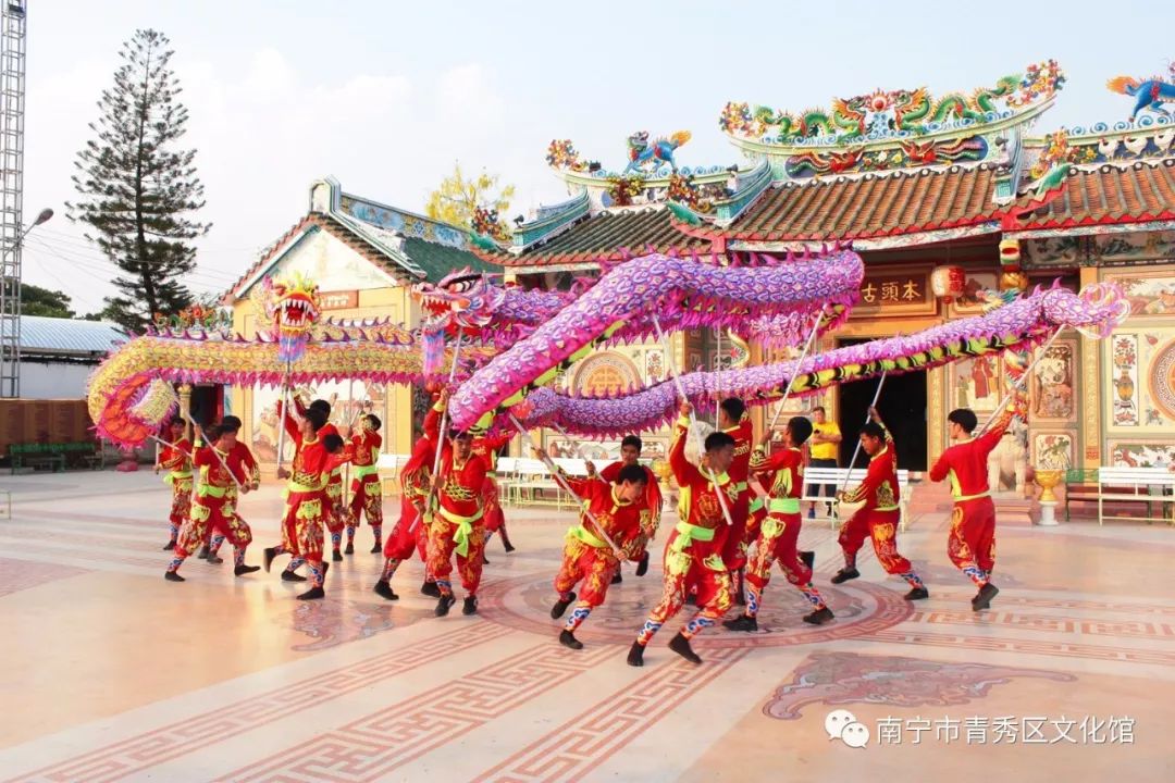 群龙聚首贺新春,青秀区国际传统舞龙邀请赛