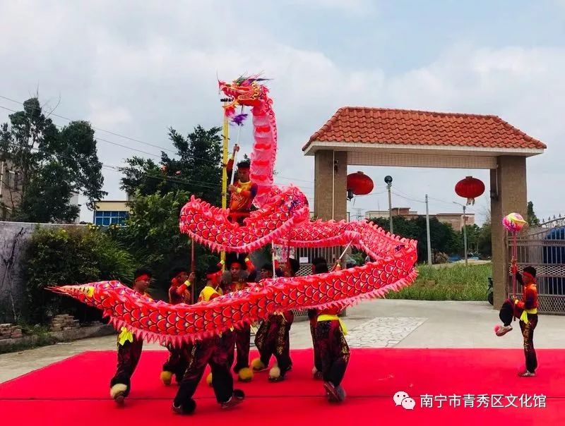 群龙聚首贺新春,青秀区国际传统舞龙邀请赛