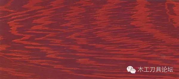 识别木材优劣家居人必备基本功,木材识别基础知识