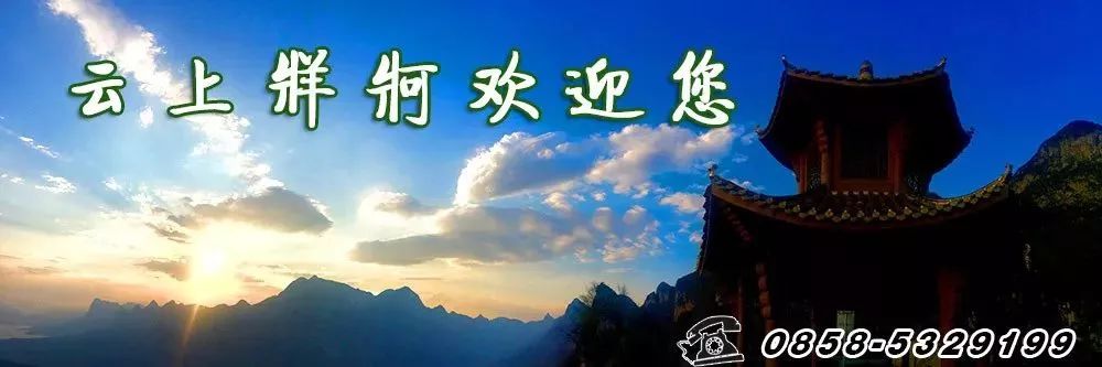 纪律处分条例违反组织纪律,纪律处分条例违反组织纪律的表现