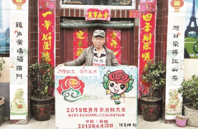 带你一睹南阳月季风采,南阳月季香飘五洲喜迎四海宾朋