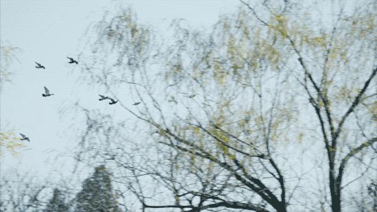 北京姑娘开民宿,北京姑娘开了家胡同民宿