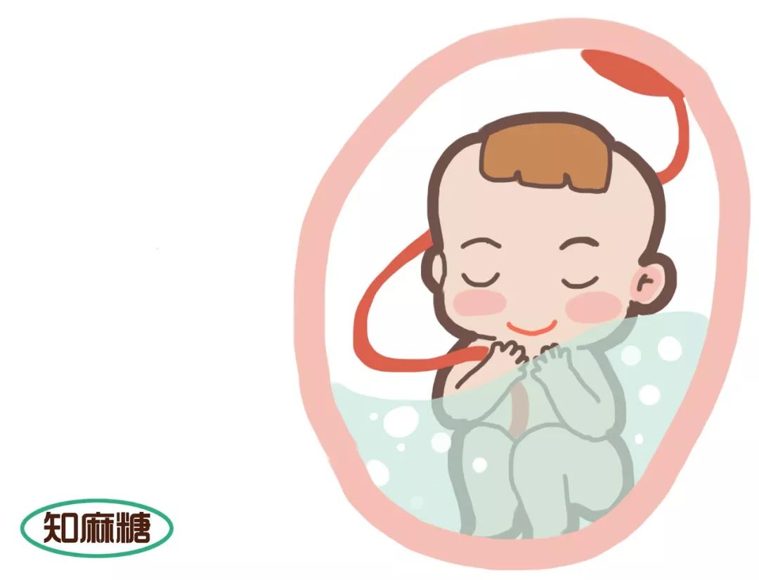 什么是试管婴儿费用一般多少,什么是试管婴儿解释