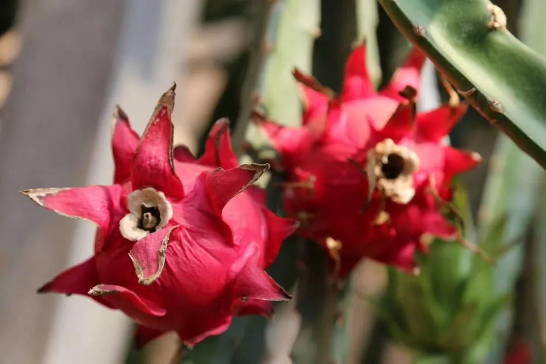 围观!阎良动漫旅游地图来啦,每一站都挺好~(文末有彩蛋)