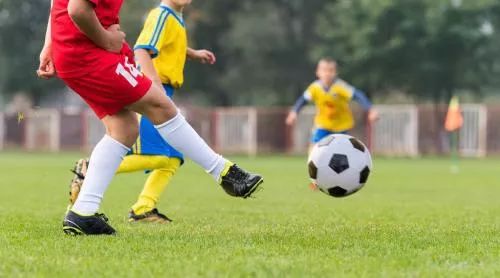 看着校园里熟悉的一切感慨万千,看到校园美好的景象