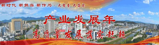 8.5万借款秒变“投资”？武平法院：名为借贷实为传销！