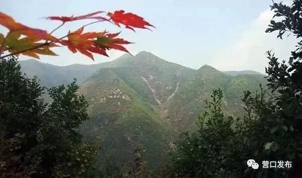 五一盖州游玩攻略带孩子,五一假期旅游安排表