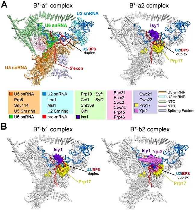 最新科研成果查询,生物材料前沿科研成果