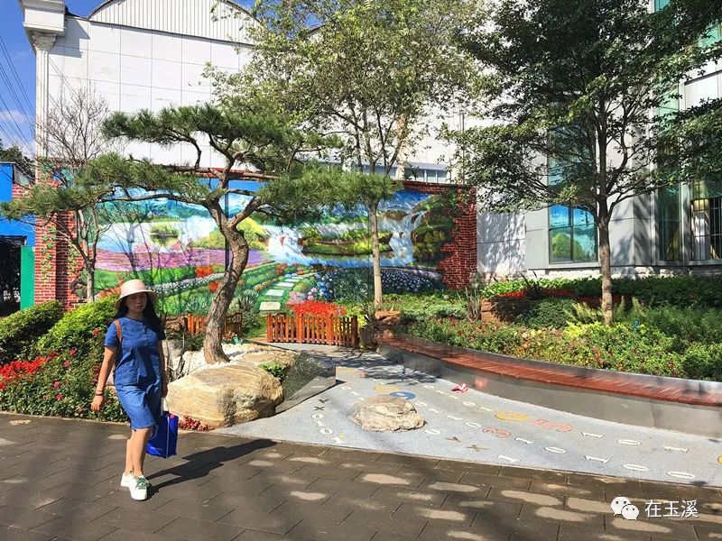 玉溪赏花游玩好地方推荐胜地,哇家玉溪