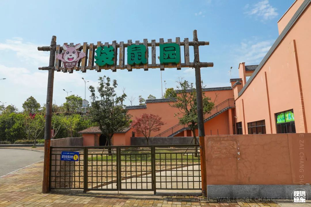 柏乐园附近美食,柏乐园有没有美食