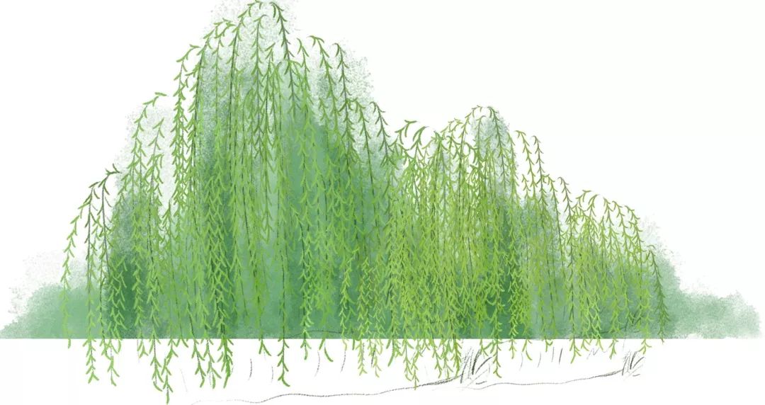 游恩施的攻略有哪些地方可以玩,恩施游玩哪些地方值得去玩
