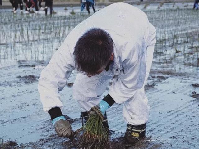 席子夏天家用冰丝降温神器,最实用的夏凉草席