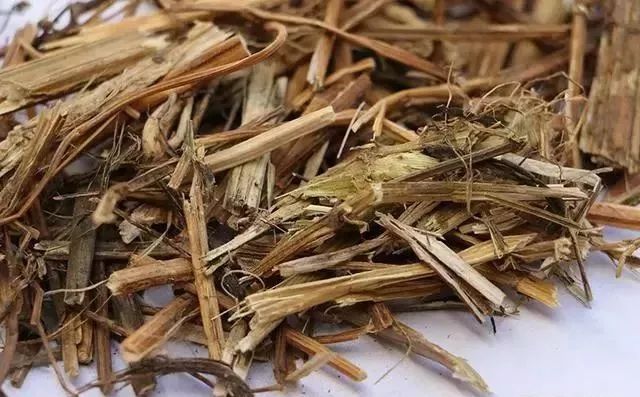 番禺最有代表性的植物是什么,农村到处都有的这种草竟然是个宝