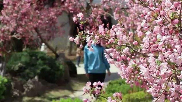 最美人间四月天去哪里旅游,最美人间四月天正是出游好时节