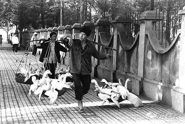 老镇江的照片曝光,镇江历史老照片