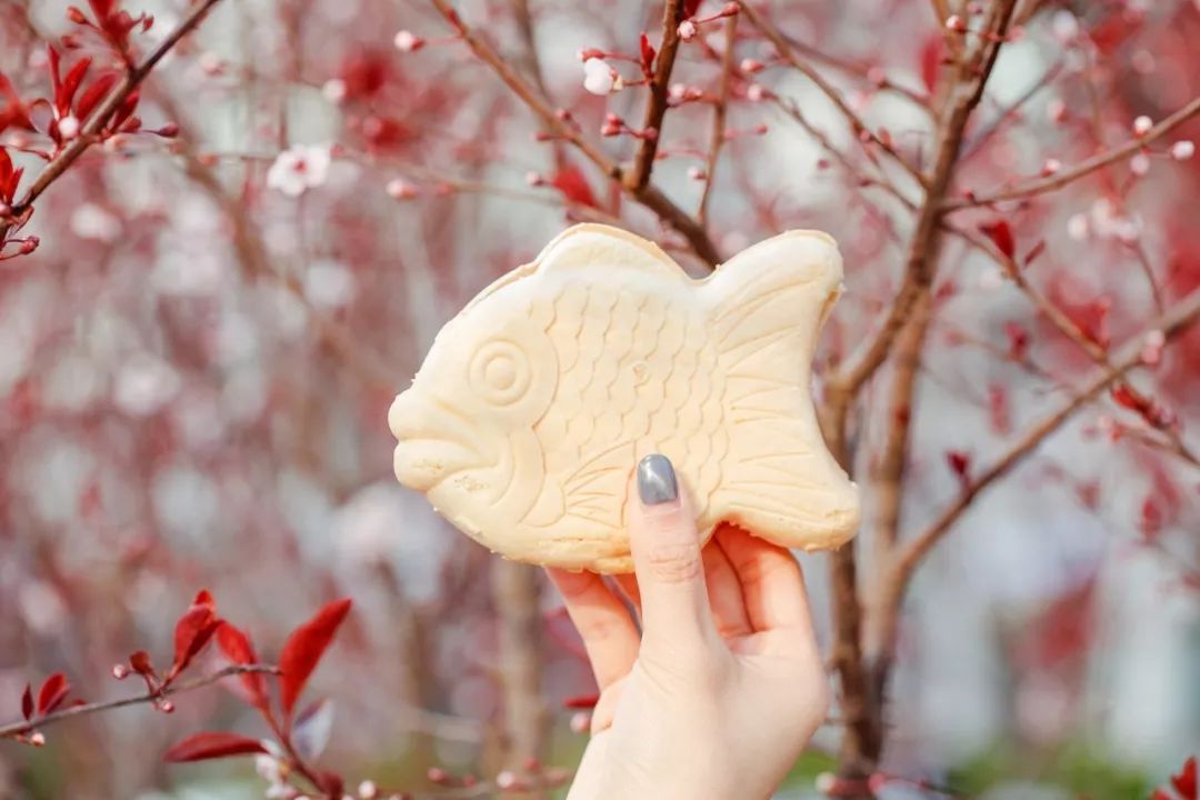 7.11便利店什么雪糕值得买,便利店雪糕品牌选哪些