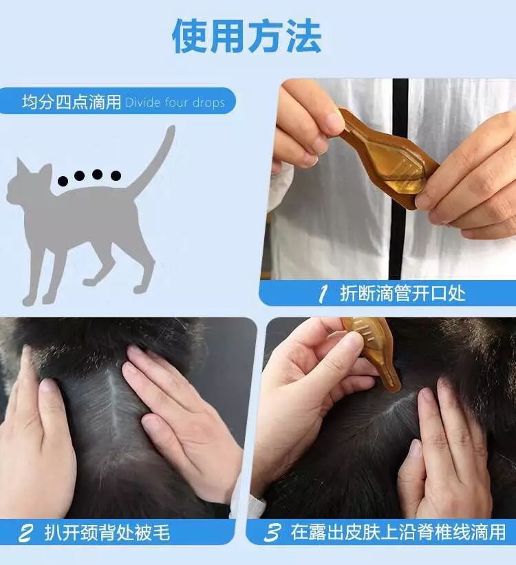 猫咪10种常见病图片,猫咪得了怪病咳嗽不止