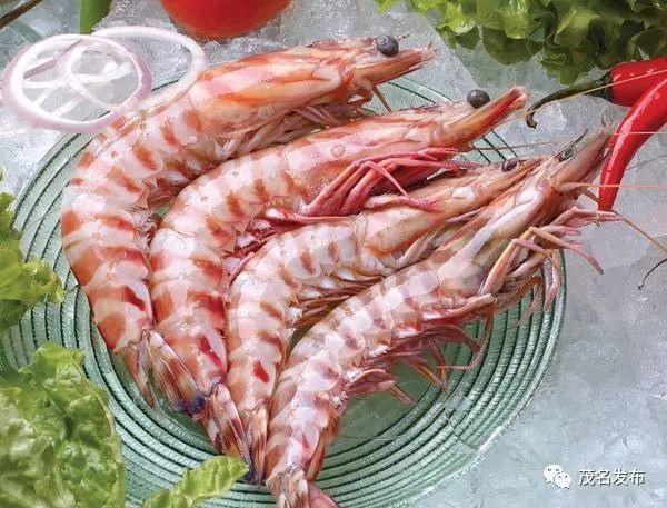 广湛高铁站点已安排！来到茂名有这么多好吃的等着你~