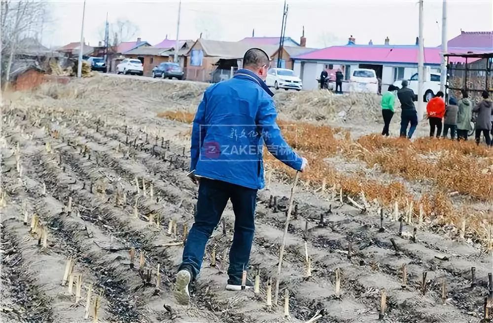 寻找5岁失踪女孩悬赏20万元仍有效,数百人搜救失联女童视频