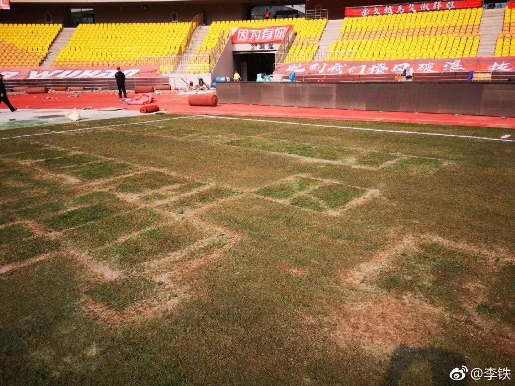 小草引发的中国足球颜面*案惨**