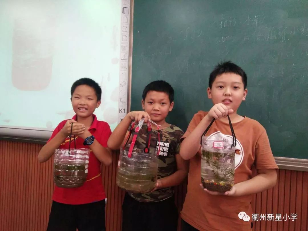 【9红先锋号】不忘初心匠心前行——记新星小学优秀*产党共**员李小建老师