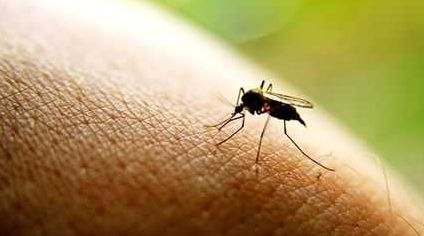 户外溜达一圈回来身上痒怎么办,出门一趟回来浑身痒