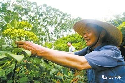 邕宁区生态乡村建设,邕宁可持续发展