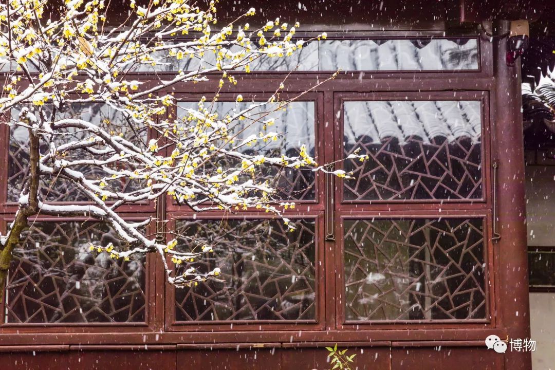 中国古典园林之美,都说岭南风景美如画