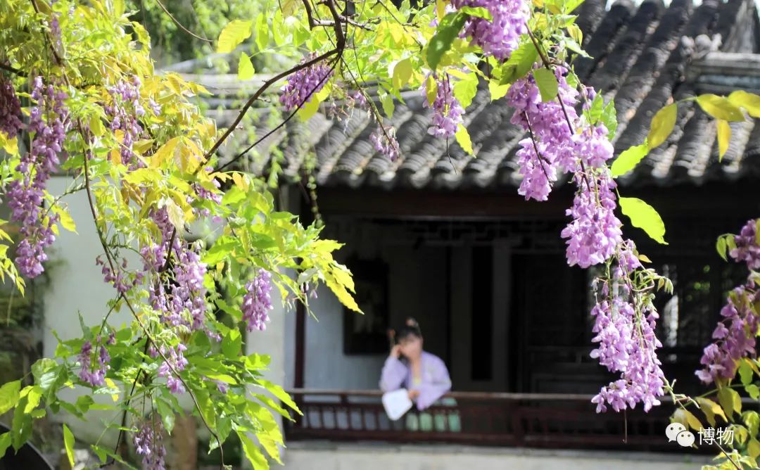 中国古典园林之美,都说岭南风景美如画