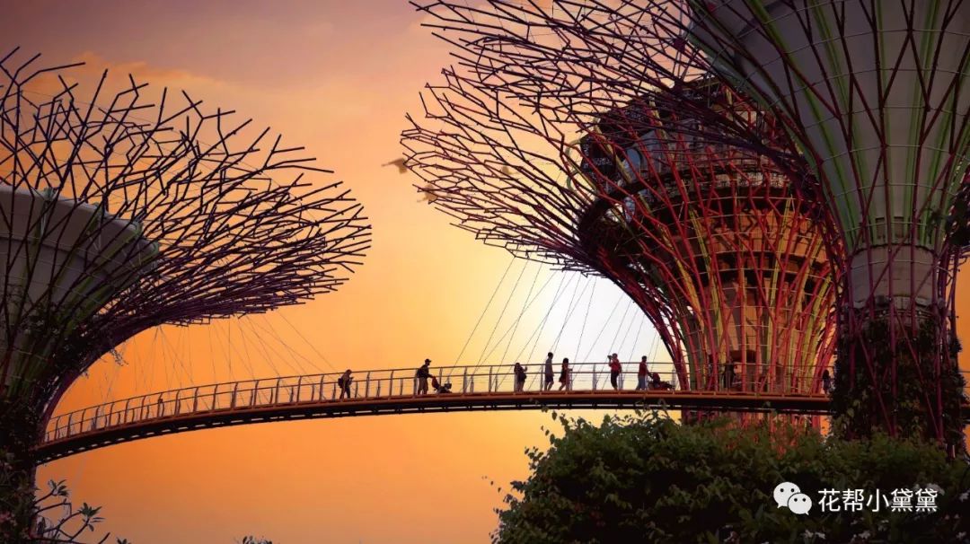 真香原版图片大全,新加坡图文旅游攻略