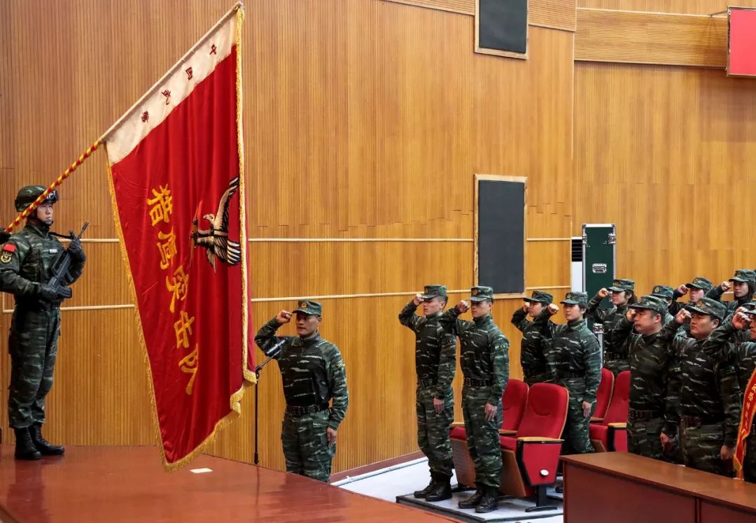 鹰击长空图片,鹰击长空完整版