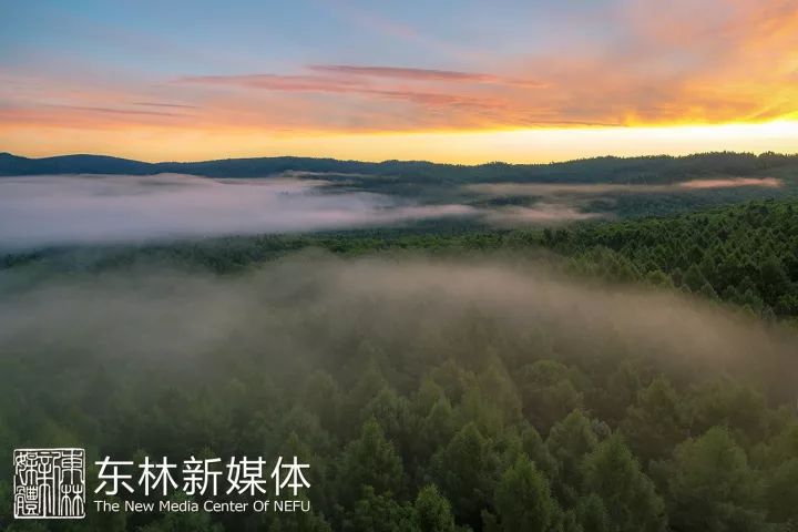 东林发信,东林大佛一封信