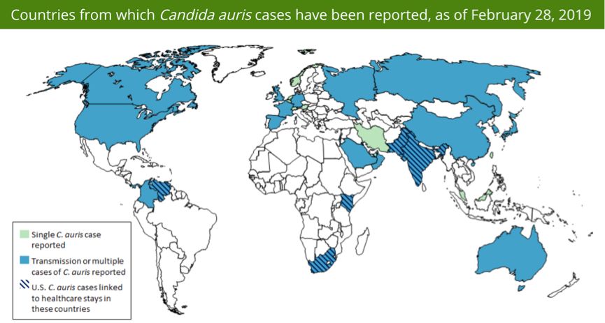超级真菌的真相,超级真菌被澄清