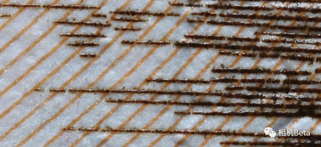 老蛙10mmf2.8多少钱,老蛙100mmf2.82倍微距