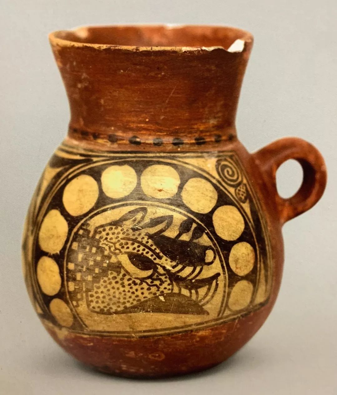 野猪的“世界史”,也是一部《权力的游戏》