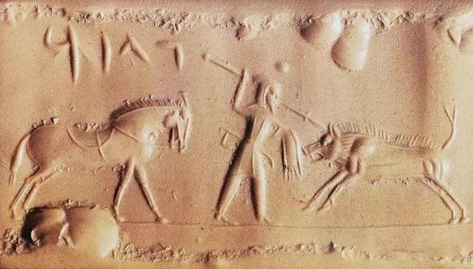 野猪的“世界史”,也是一部《权力的游戏》