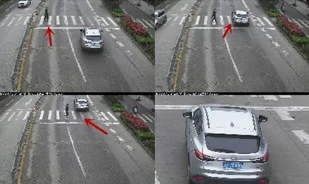 违法曝光持续进行中,违法数量曝光